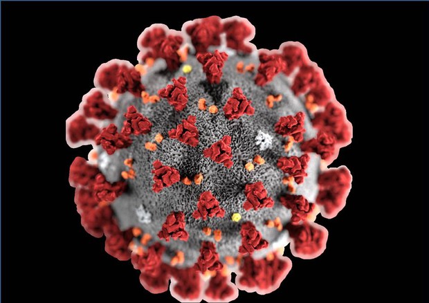 Coronavirus: richiesta chiarimenti